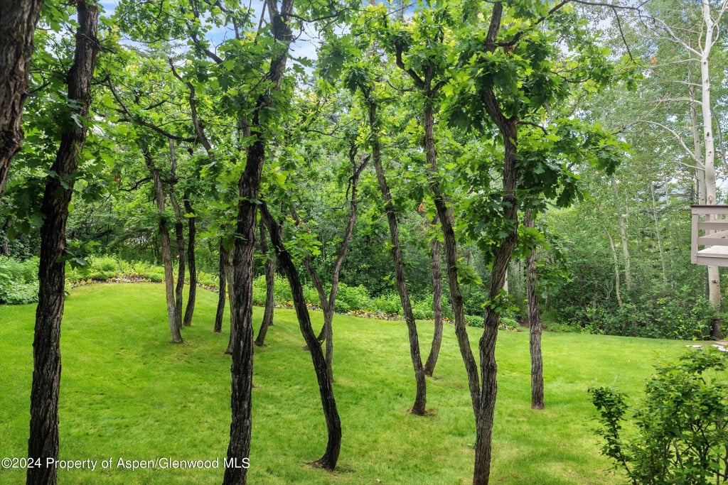 36 of 42 - 209 Larkspur Lane, Aspen, CO