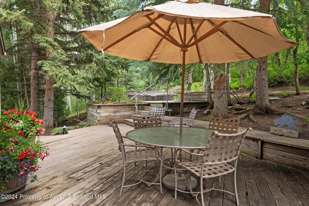 39 of 42 - 209 Larkspur Lane, Aspen, CO