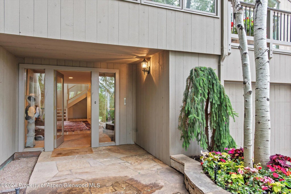 4 of 42 - 209 Larkspur Lane, Aspen, CO