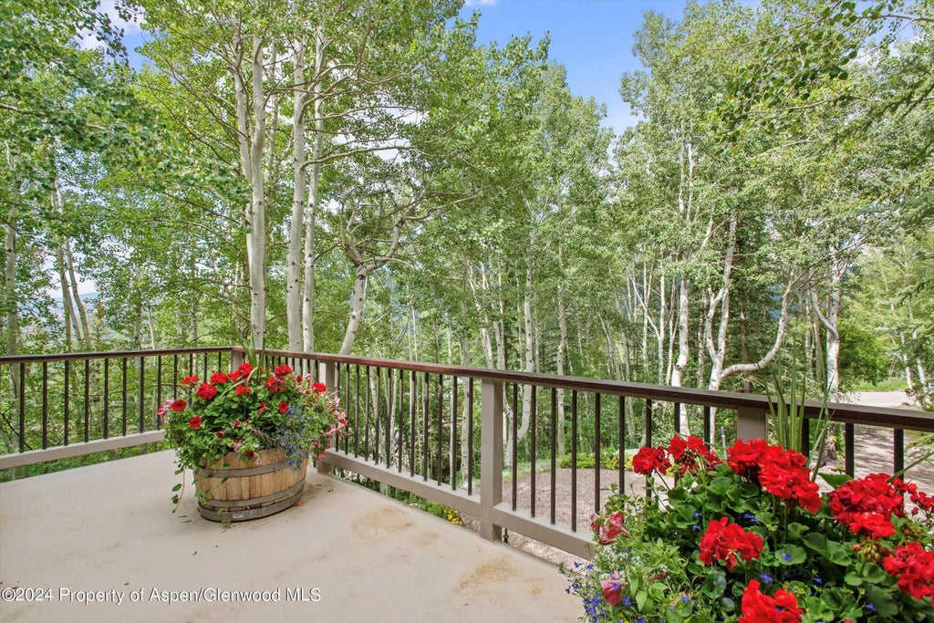 9 of 42 - 209 Larkspur Lane, Aspen, CO