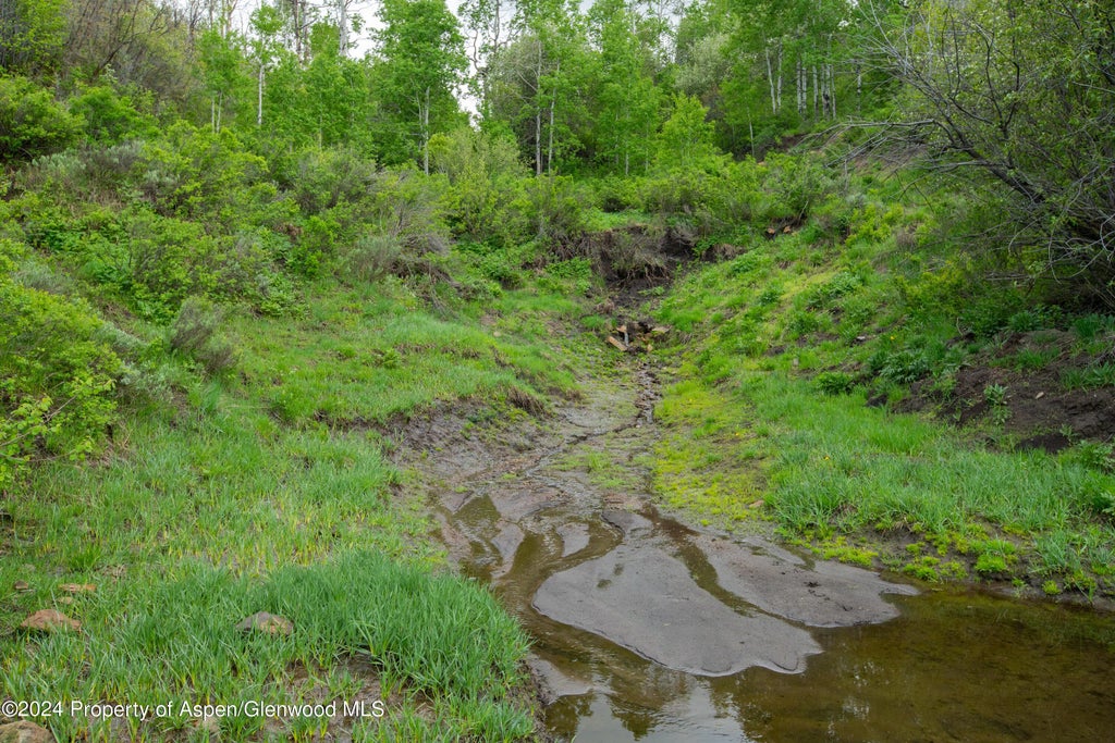 14 of 29 - 32771 County Road 27, Hayden, CO