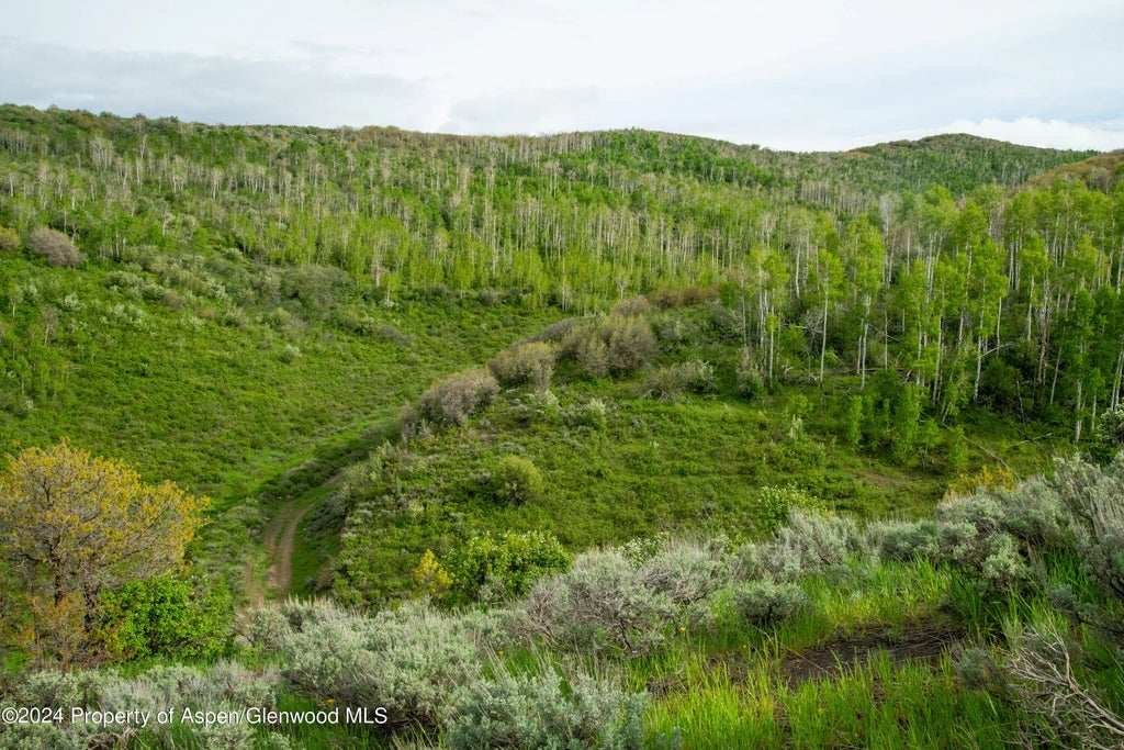 16 of 29 - 32771 County Road 27, Hayden, CO