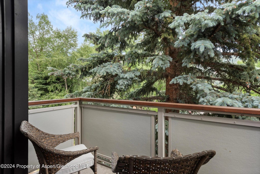 14 of 27 - 100 E Dean Street 3a, Aspen, CO