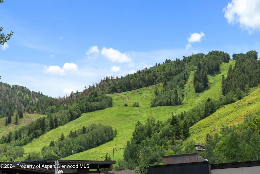 20 of 27 - 100 E Dean Street 3a, Aspen, CO