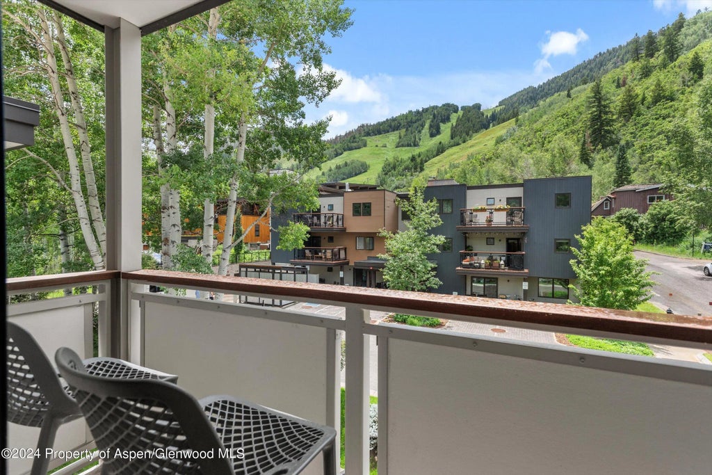 21 of 27 - 100 E Dean Street 3a, Aspen, CO