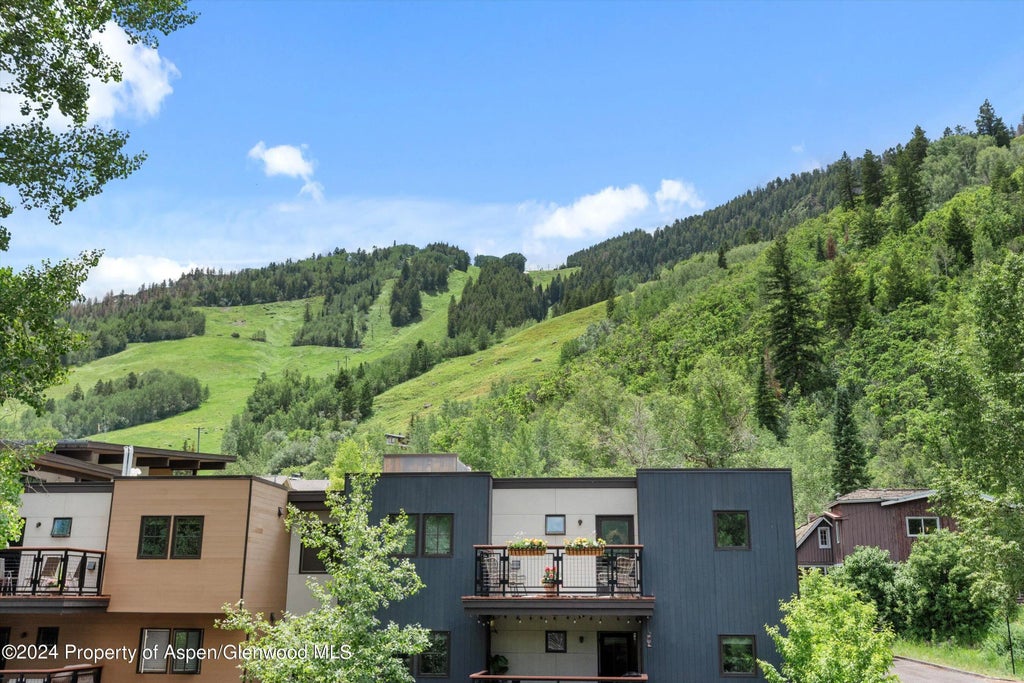 22 of 27 - 100 E Dean Street 3a, Aspen, CO