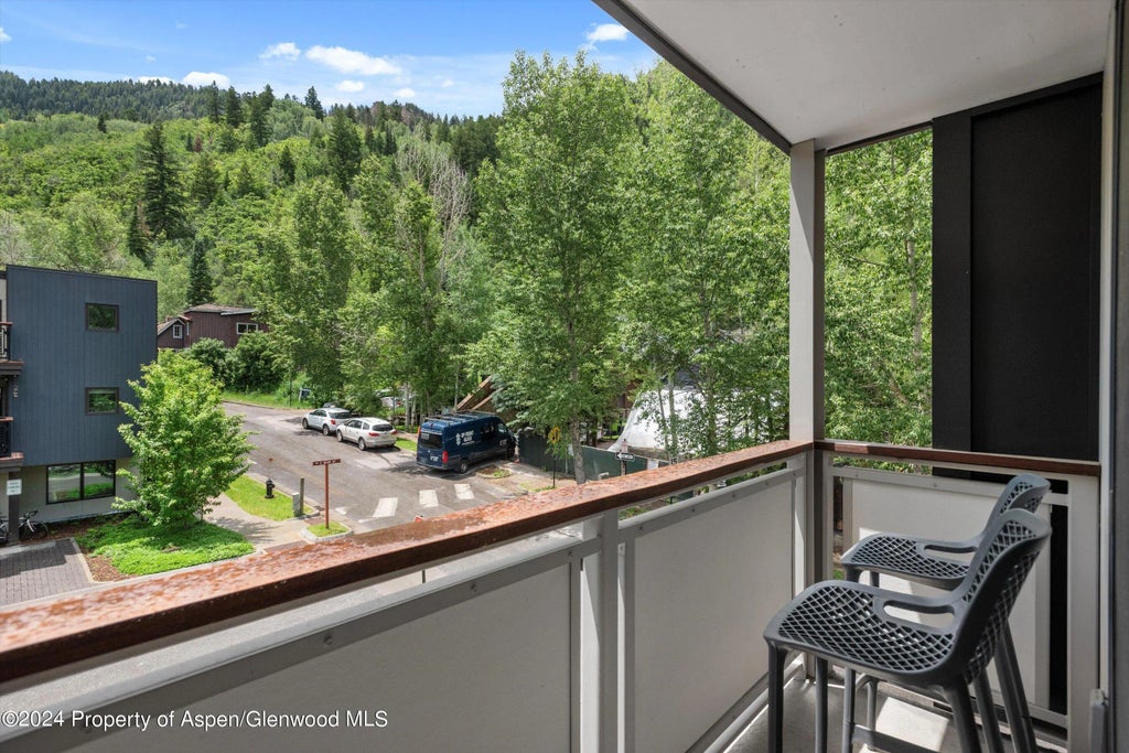 23 of 27 - 100 E Dean Street 3a, Aspen, CO
