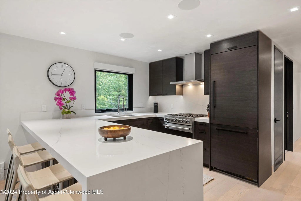 7 of 27 - 100 E Dean Street 3a, Aspen, CO