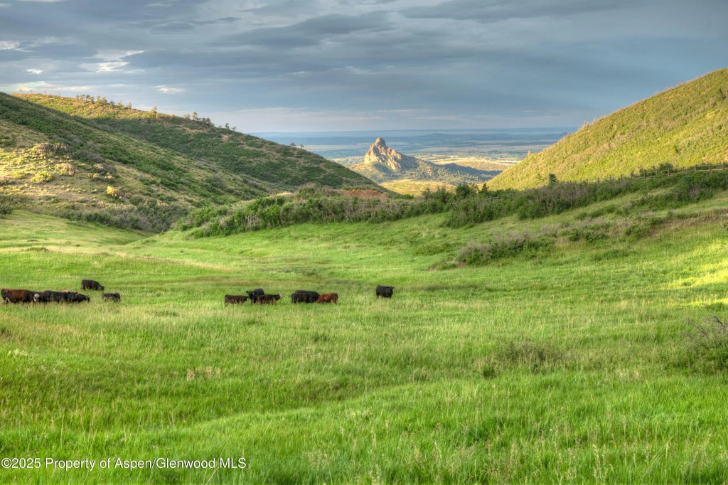 11 of 33 - 850 Rilling Canyon Road, La Veta, CO