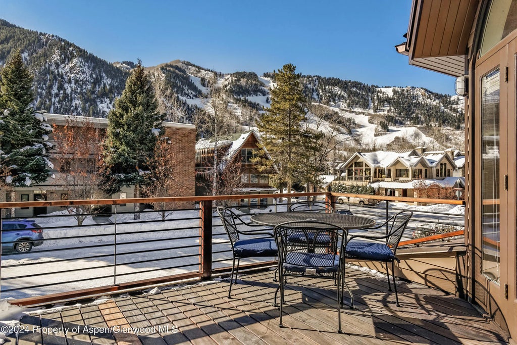 1 of 17 - 1006 E Hyman Avenue B, Aspen, CO