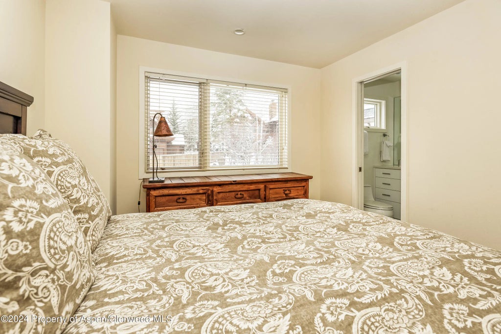 16 of 17 - 1006 E Hyman Avenue B, Aspen, CO
