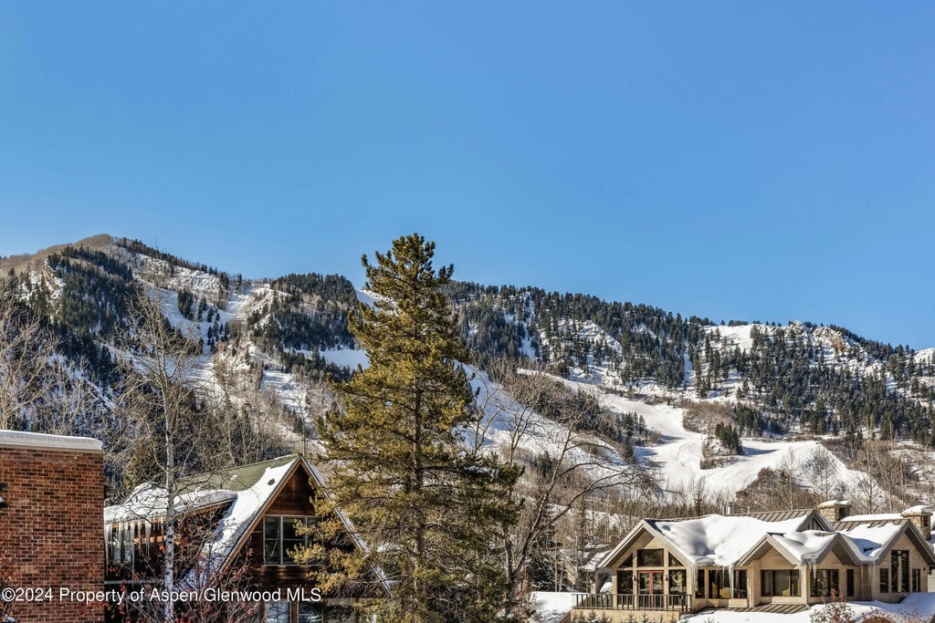3 of 17 - 1006 E Hyman Avenue B, Aspen, CO