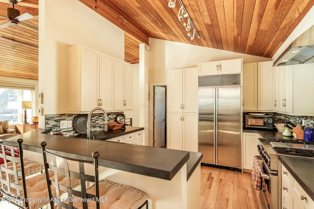 9 of 17 - 1006 E Hyman Avenue B, Aspen, CO