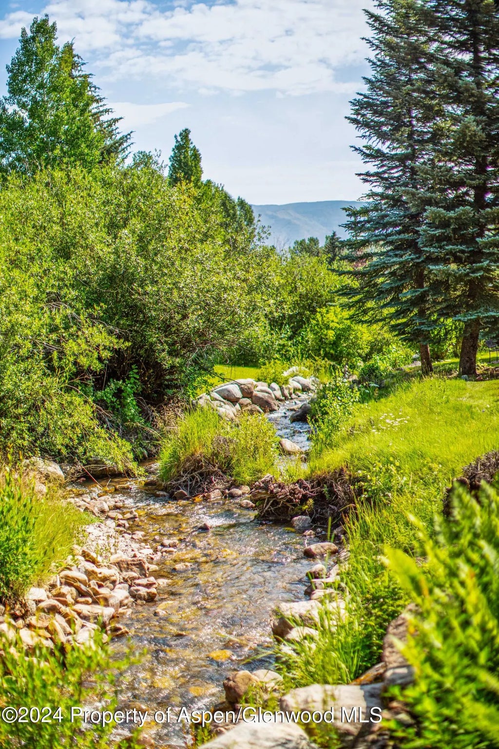 34 of 36 - 115 Harleston Green 63, Snowmass Village, CO