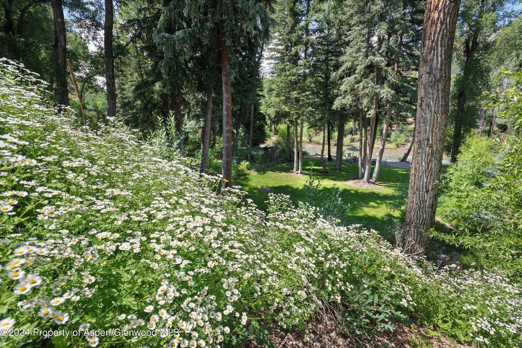 31 of 44 - 117 S Little Texas Lane, Woody Creek, CO