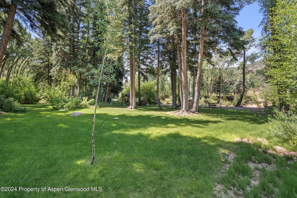 32 of 44 - 117 S Little Texas Lane, Woody Creek, CO