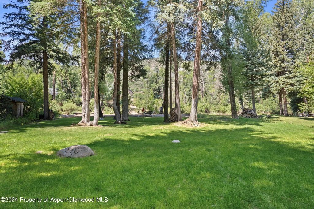 33 of 44 - 117 S Little Texas Lane, Woody Creek, CO