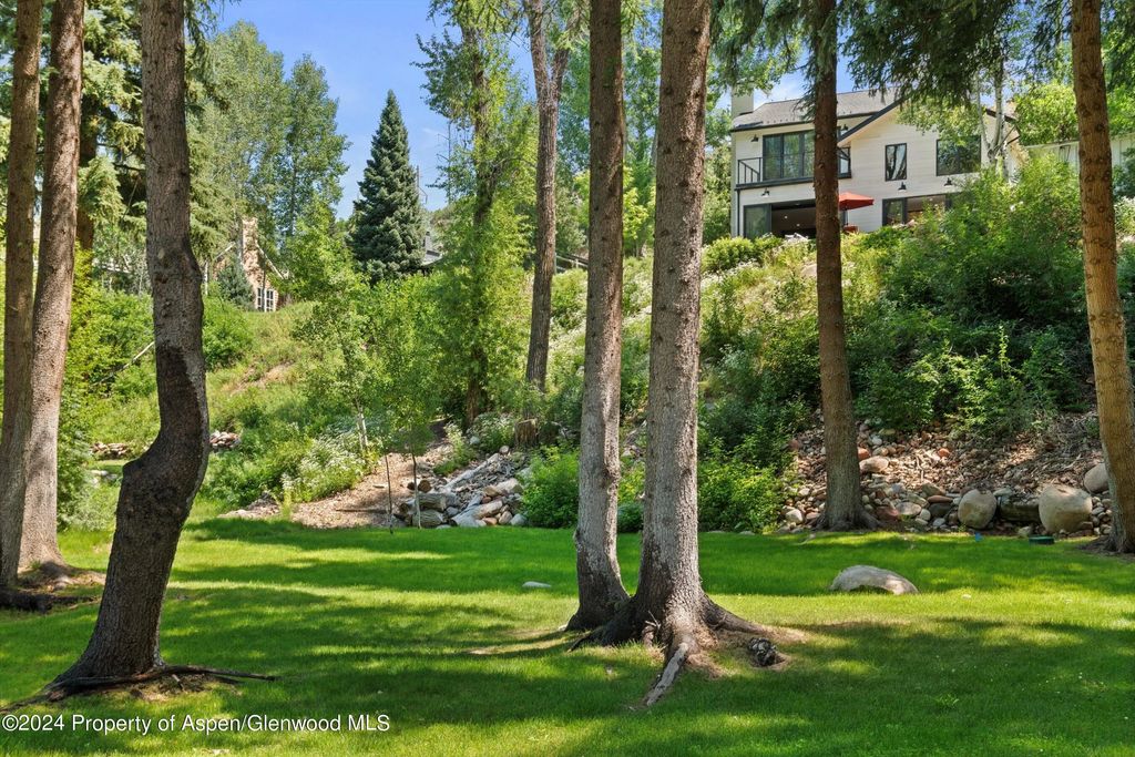 39 of 44 - 117 S Little Texas Lane, Woody Creek, CO