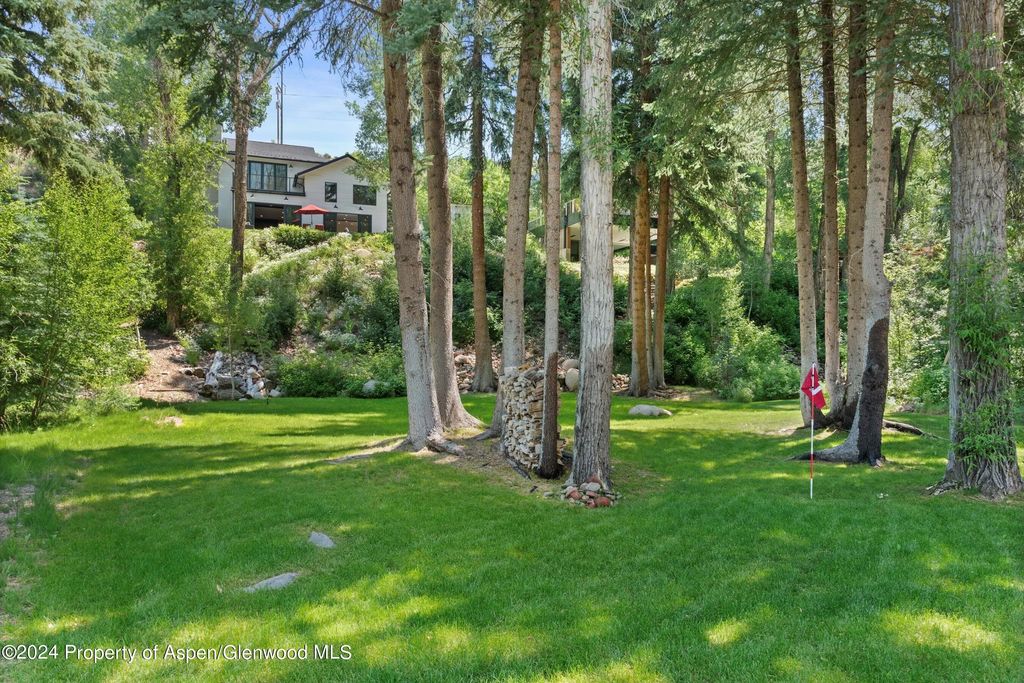 40 of 44 - 117 S Little Texas Lane, Woody Creek, CO