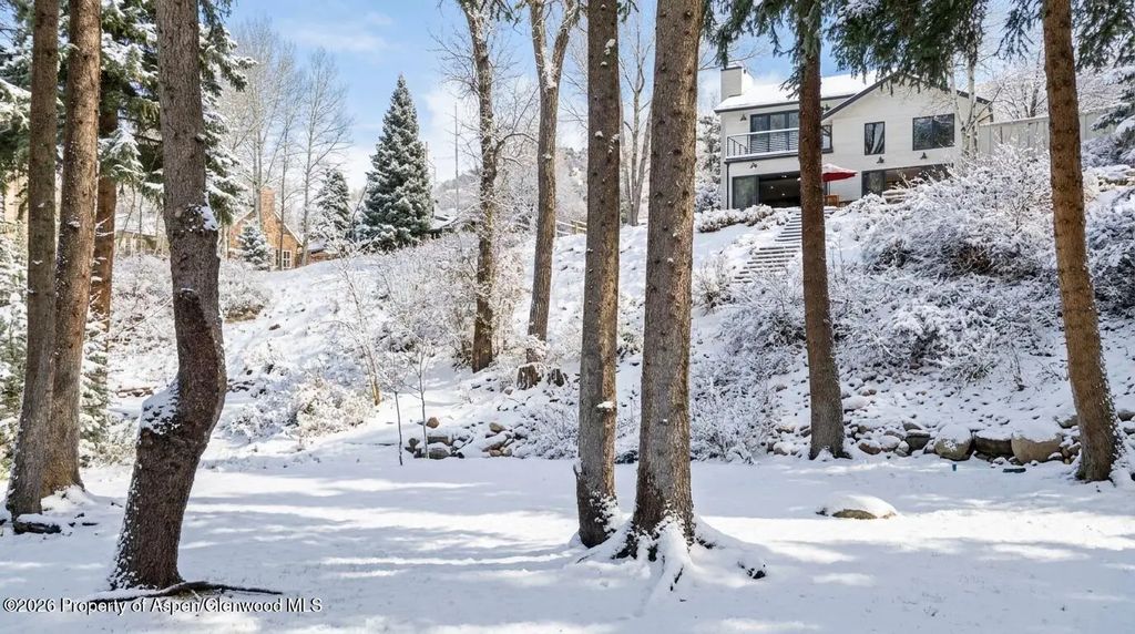 42 of 44 - 117 S Little Texas Lane, Woody Creek, CO