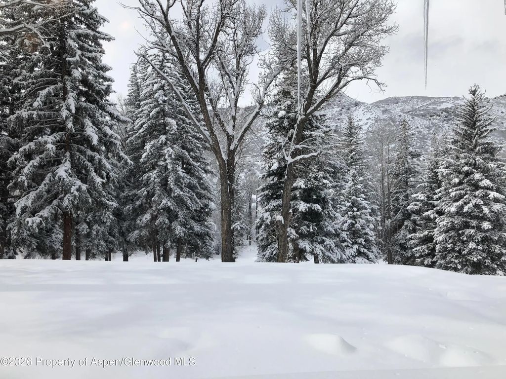 43 of 44 - 117 S Little Texas Lane, Woody Creek, CO