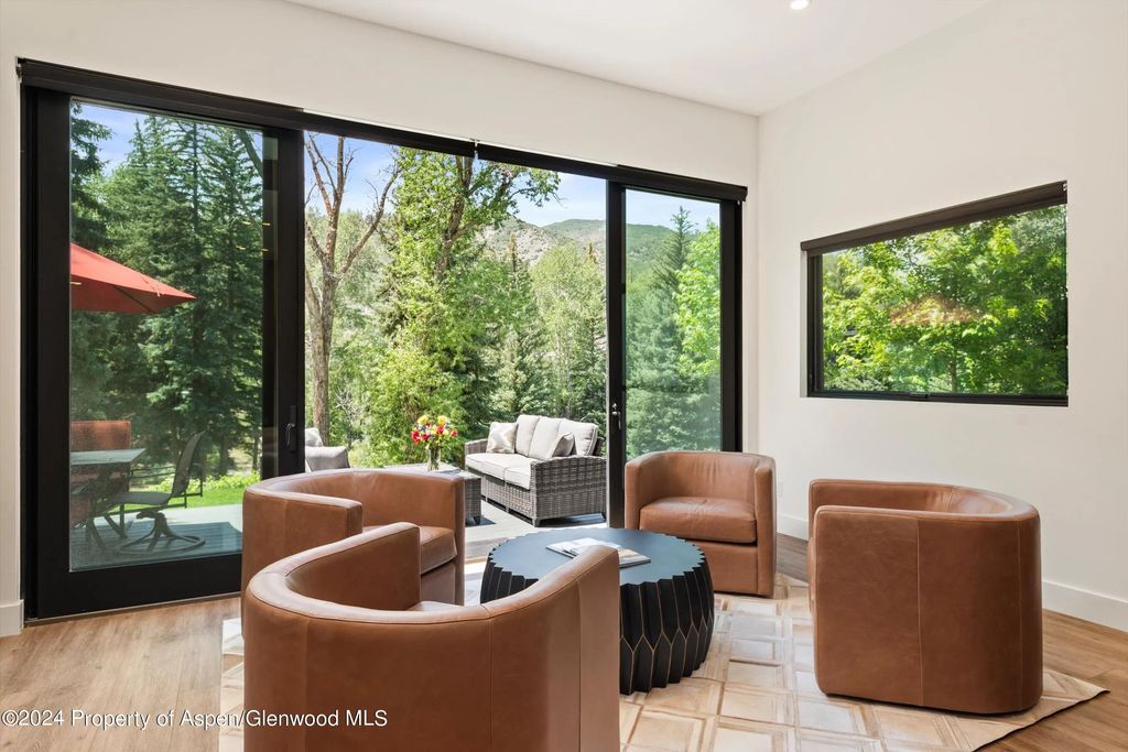 5 of 44 - 117 S Little Texas Lane, Woody Creek, CO
