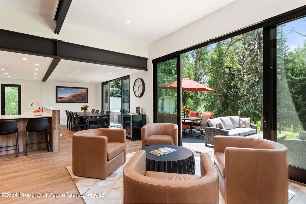 6 of 44 - 117 S Little Texas Lane, Woody Creek, CO