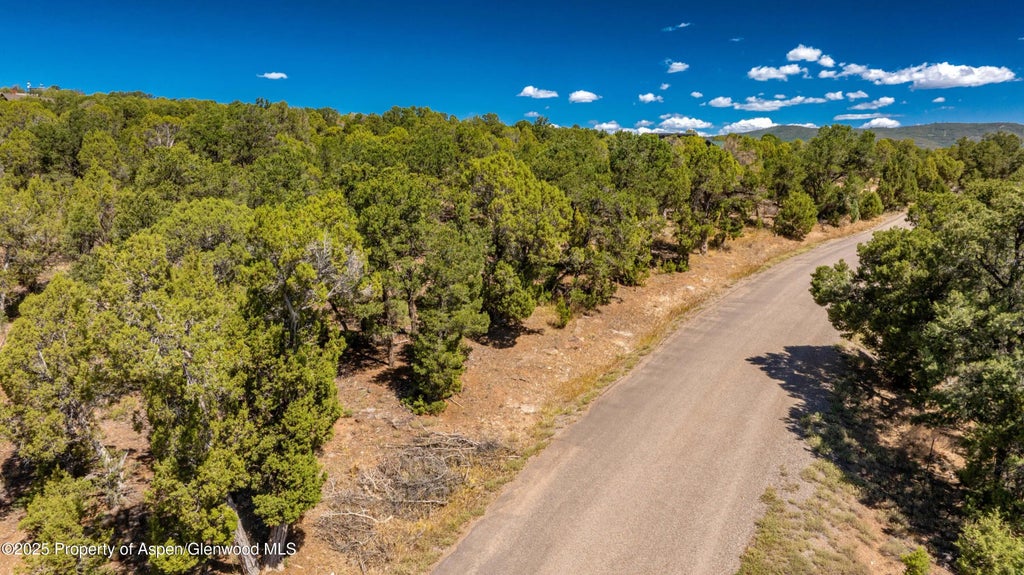 15 of 20 - 3292 Elk Springs Drive, Glenwood Springs, CO