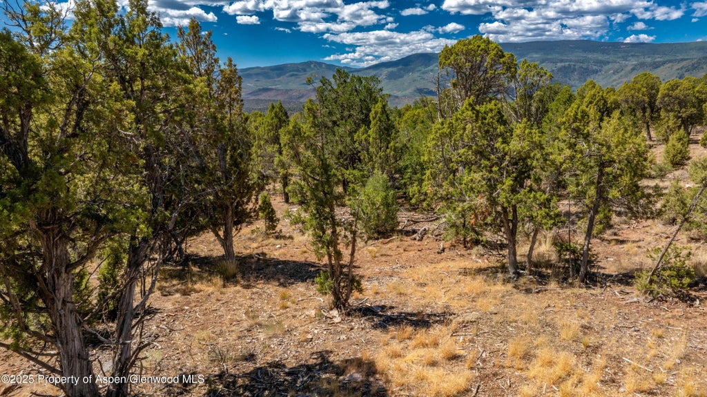 17 of 20 - 3292 Elk Springs Drive, Glenwood Springs, CO