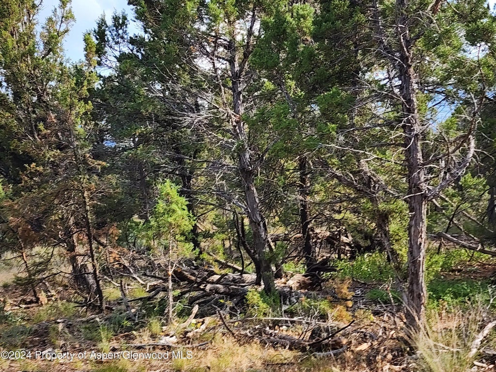 4 of 8 - 3292 Elk Springs Drive, Glenwood Springs, CO