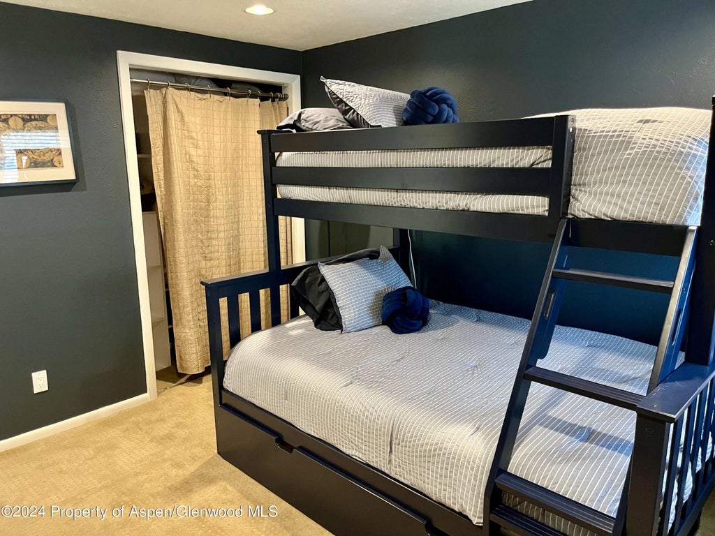 10 of 15 - 1050 Waters Avenue Unit 9, Aspen, CO