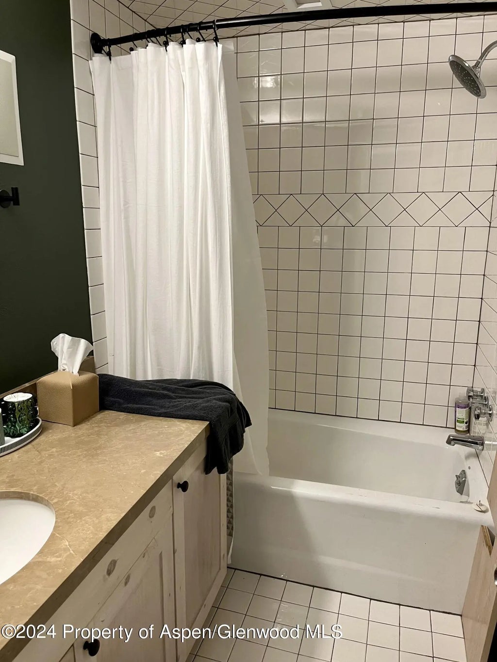 15 of 15 - 1050 Waters Avenue Unit 9, Aspen, CO