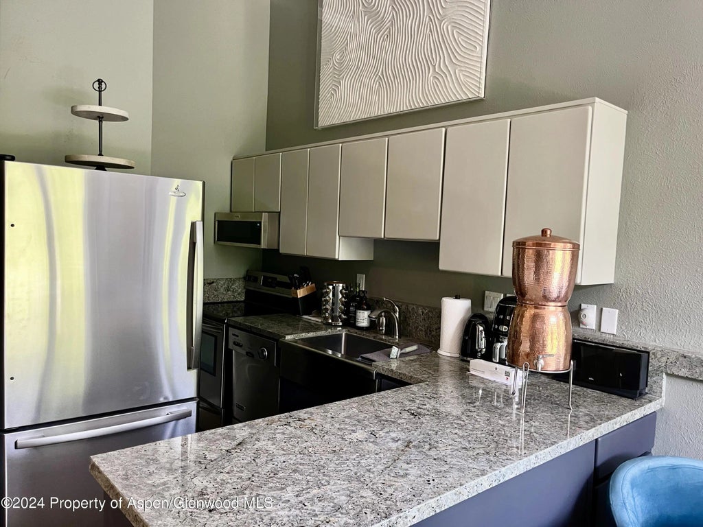4 of 15 - 1050 Waters Avenue Unit 9, Aspen, CO