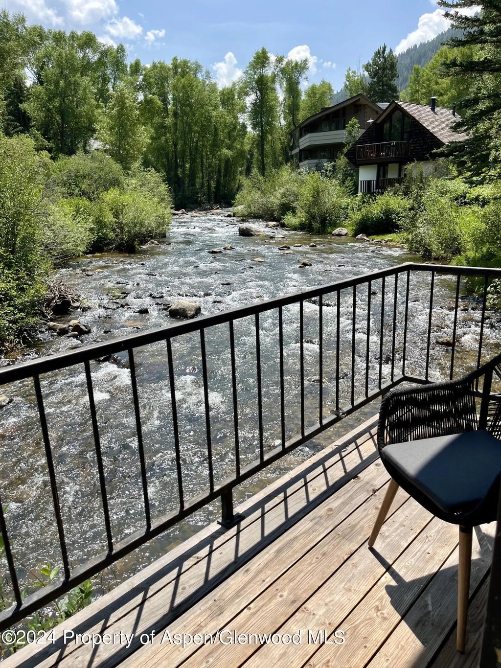 8 of 15 - 1050 Waters Avenue Unit 9, Aspen, CO
