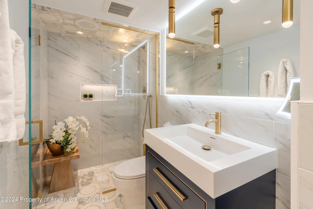 11 of 29 - 617 E Cooper Avenue 110, Aspen, CO