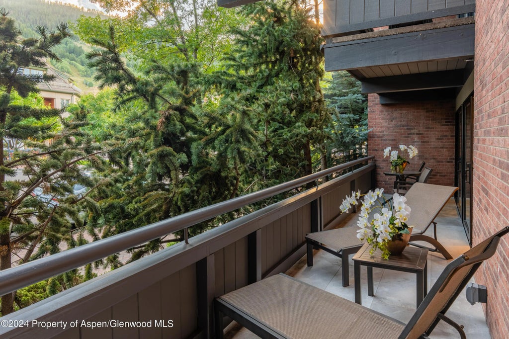 15 of 29 - 617 E Cooper Avenue 110, Aspen, CO