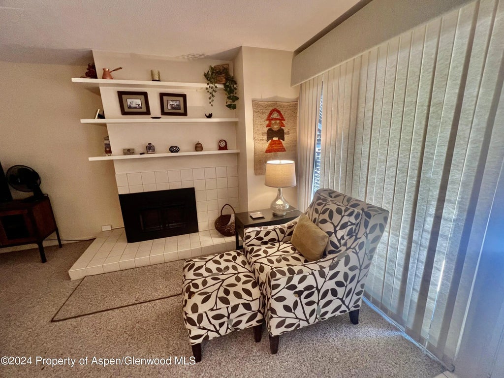 10 of 16 - 210 E Cooper Avenue 2d, Aspen, CO