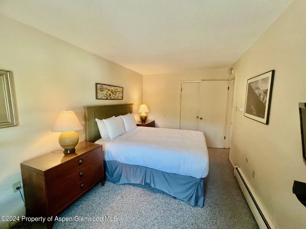 12 of 16 - 210 E Cooper Avenue 2d, Aspen, CO