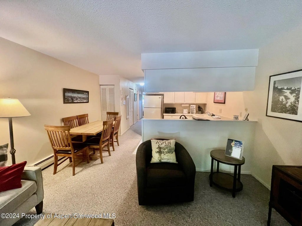 5 of 16 - 210 E Cooper Avenue 2d, Aspen, CO