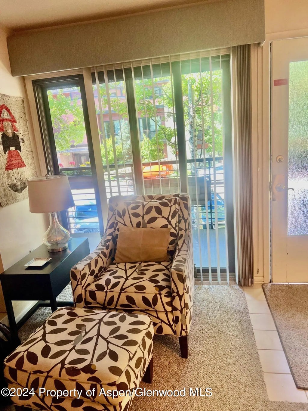 6 of 16 - 210 E Cooper Avenue 2d, Aspen, CO