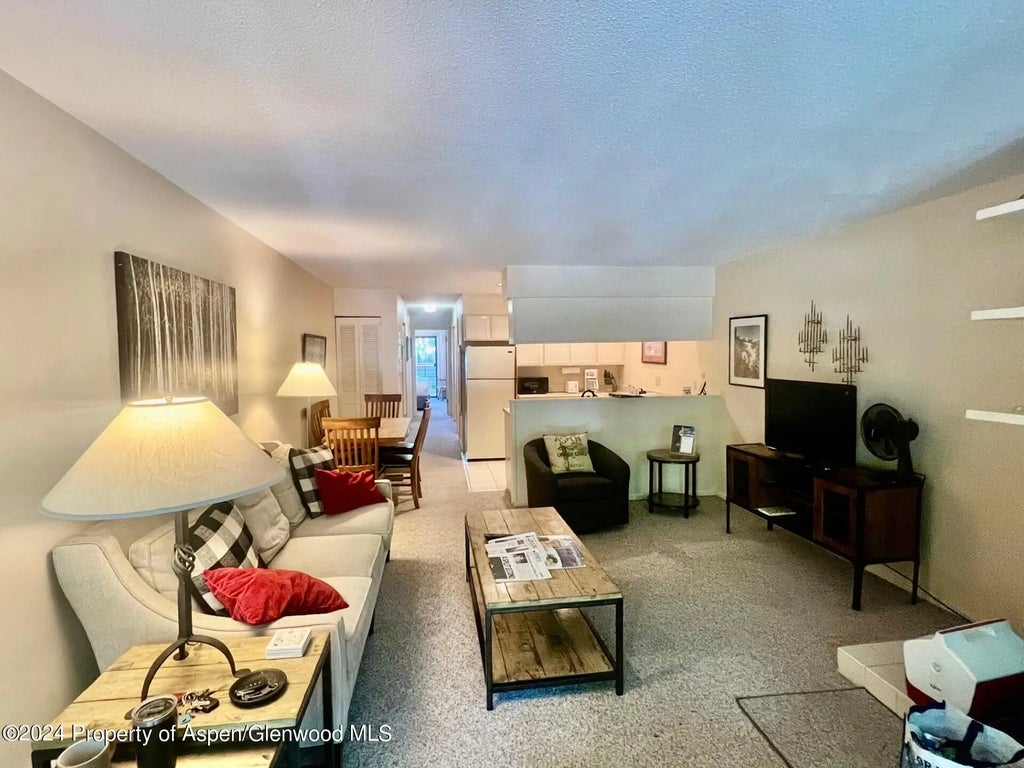 7 of 16 - 210 E Cooper Avenue 2d, Aspen, CO