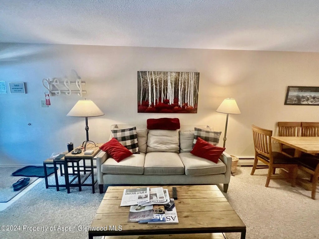 8 of 16 - 210 E Cooper Avenue 2d, Aspen, CO