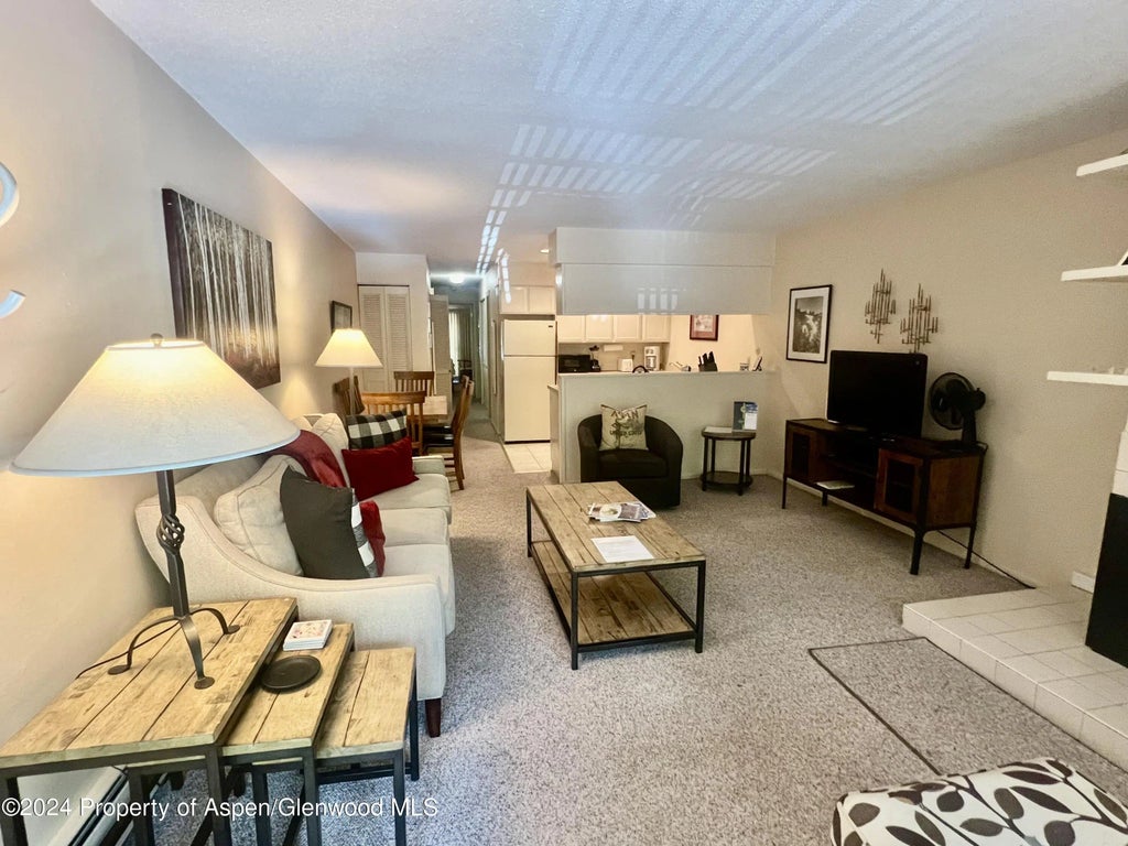9 of 16 - 210 E Cooper Avenue 2d, Aspen, CO