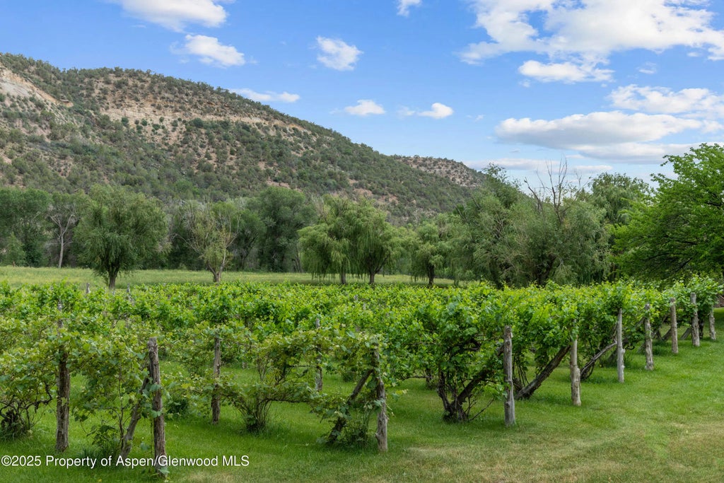 15 of 32 - 34074 Fruitland Mesa Road, Crawford, CO