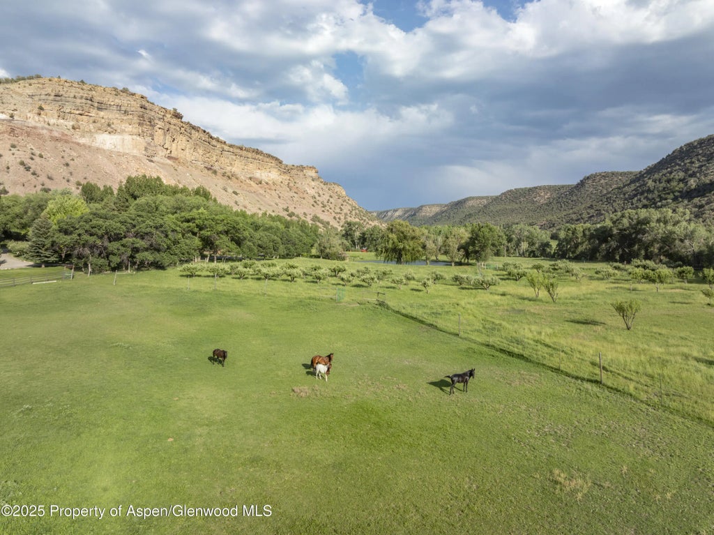 16 of 32 - 34074 Fruitland Mesa Road, Crawford, CO