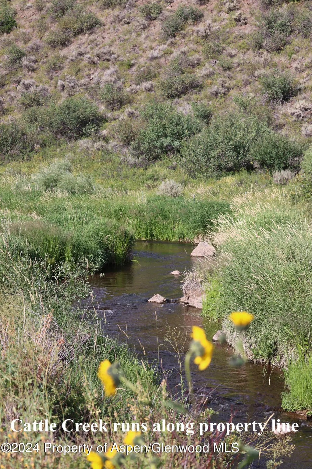 9 of 18 - Lot #11 Turnberry Ranch, Panorama Drive, Carbondale, CO