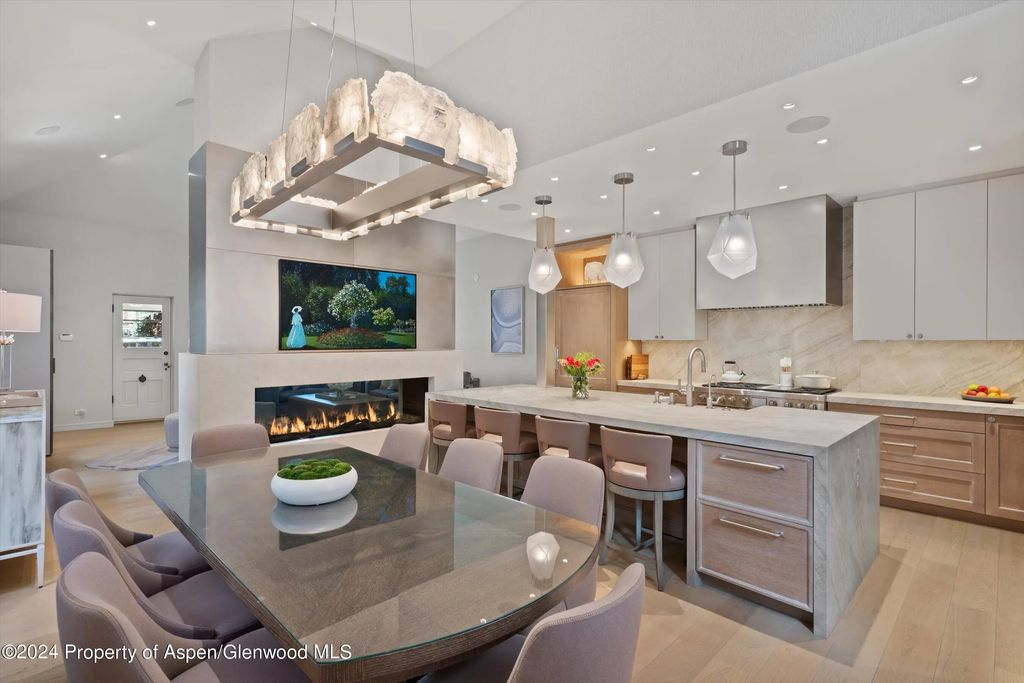 105 E Hallam Street, Aspen