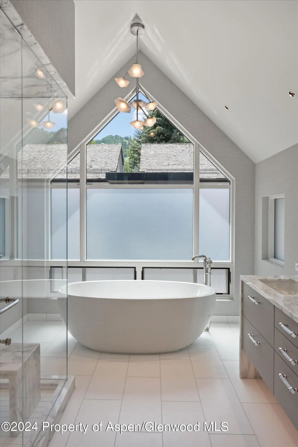 17 of 49 - 105 E Hallam Street, Aspen, CO