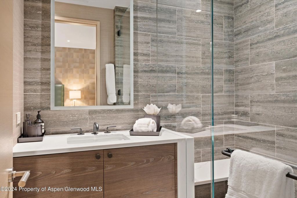 22 of 49 - 105 E Hallam Street, Aspen, CO