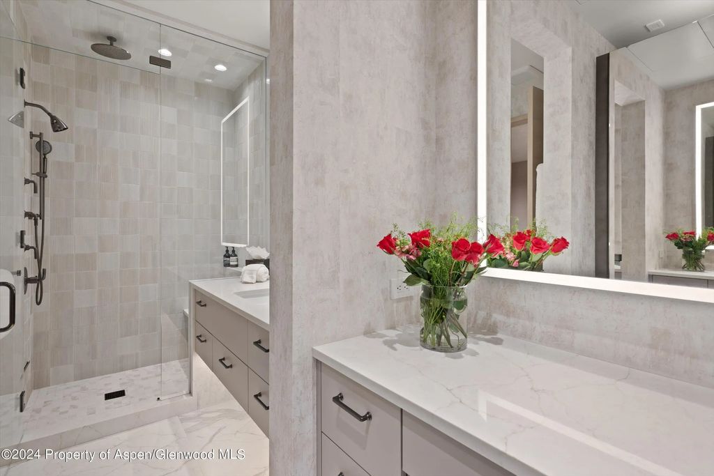 30 of 49 - 105 E Hallam Street, Aspen, CO